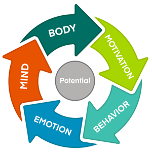 Graphic that shows a circle of five colorful arrows, one flowing to the next. The dark green arrow at top with the word "BODY" within it flows into a lime green arrow with the word "MOTIVATION," which flows into a bright teal arrow with the word "BEHAVIOR," which flows into a deep blue arrow with the word "EMOTION," which flows into a red-orange arrow with the word "MIND" which flows back around into the dark green BODY arrow. At the center of the circle of arrows is a smaller gray circle with the word "POTENTIAL" inside it. 